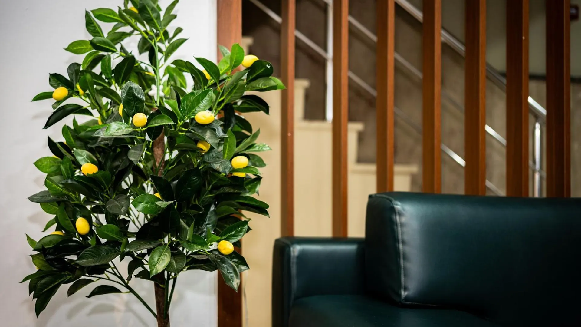 Senyor Garden Hotel Stambuł Turcja